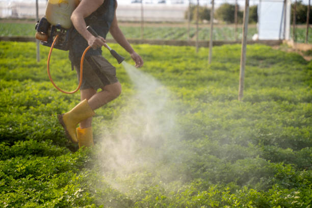 Best Ant Control Services  in Ford City, PA