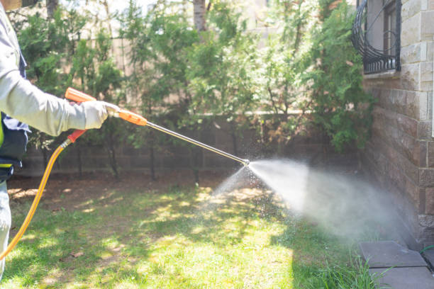 Best Pest Removal Services  in Ford City, PA