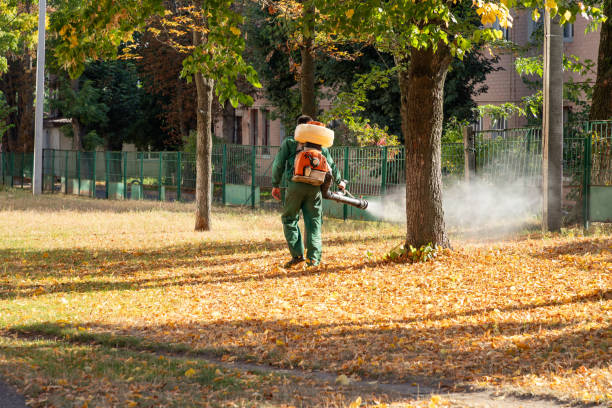 Best Local Pest Control Services  in Ford City, PA