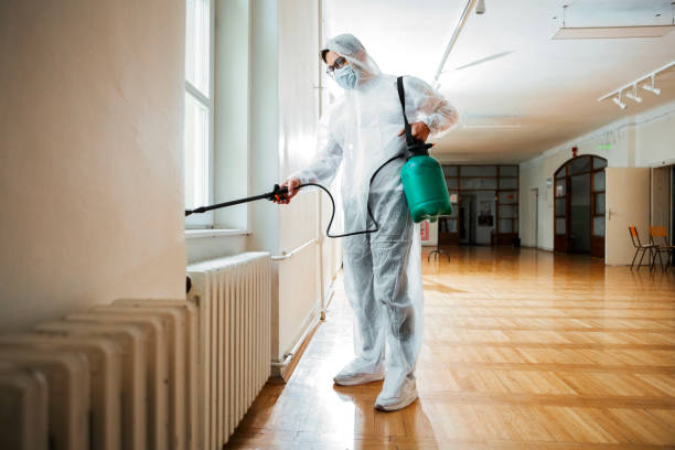 Best Local Pest Control Services  in Ford City, PA